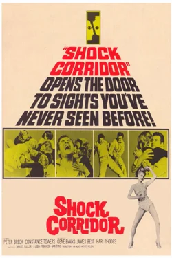 Shock Corridor
