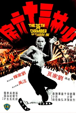 The 36th Chamber of Shaolin