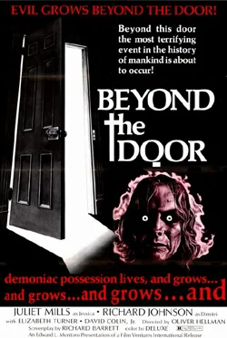 Beyond the Door