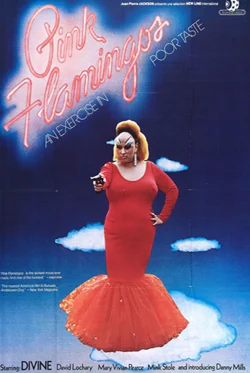 Pink Flamingos