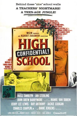High School Confidential