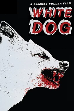 White Dog