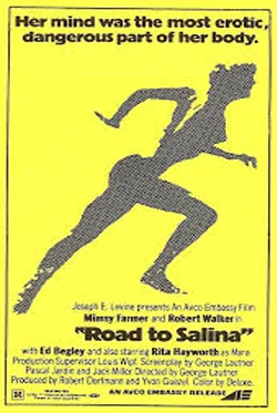 Road to Salina