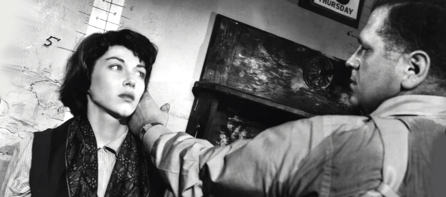 Essential Film Noir Collection 1