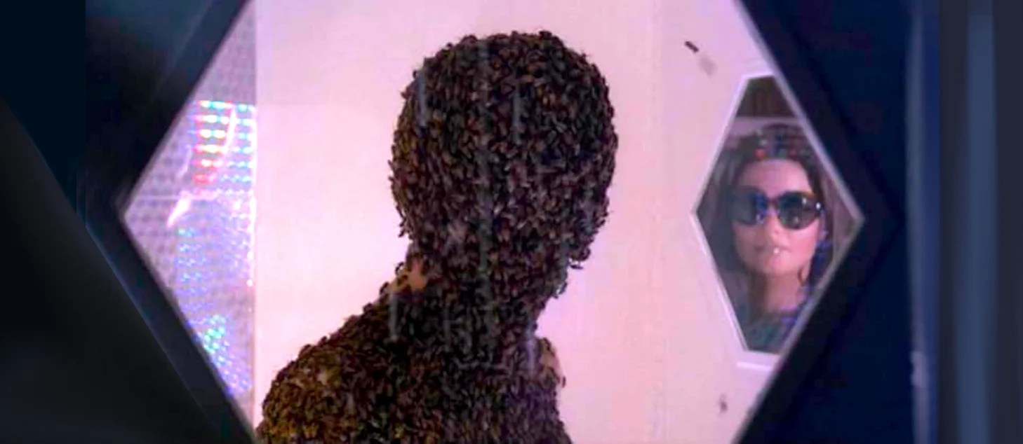 Invasion of the Bee Girls