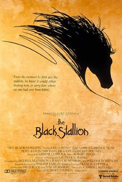 The Black Stallion