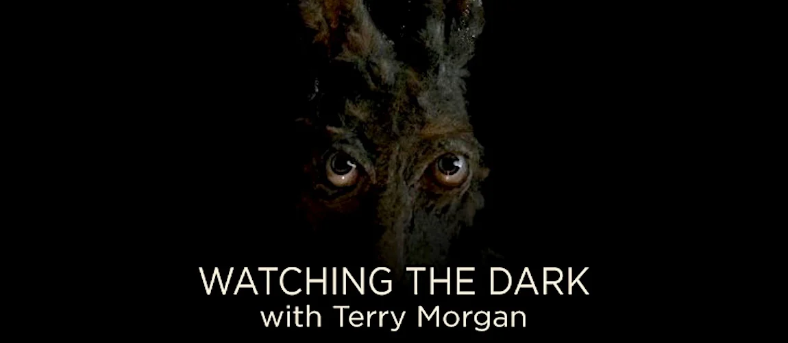 Watching The Dark