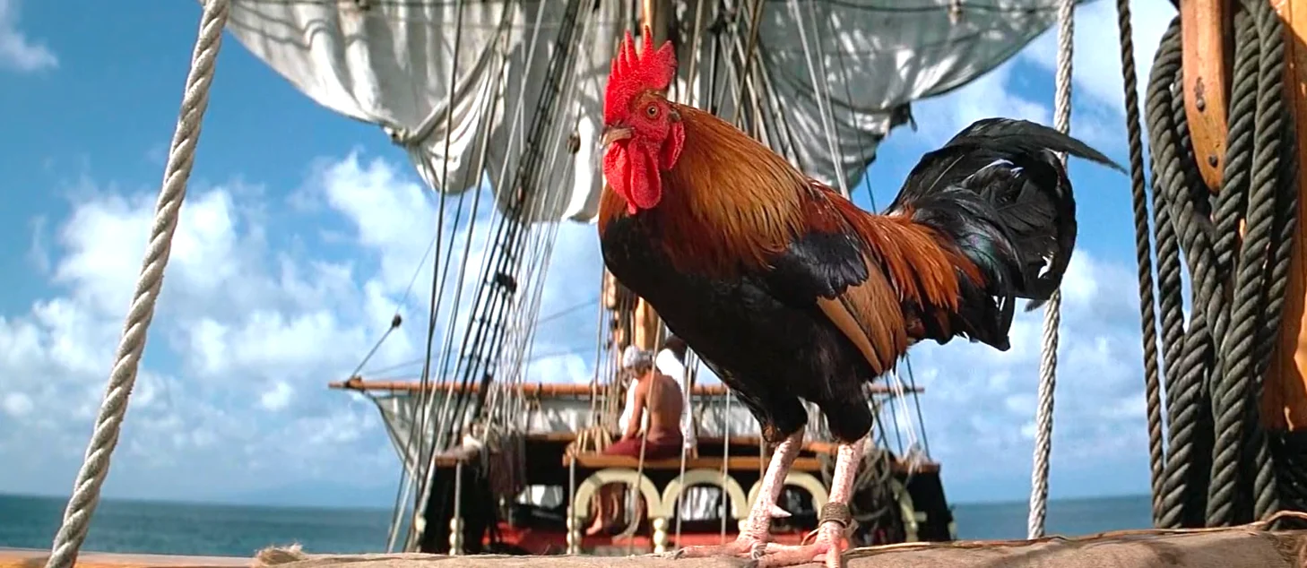 Swashbuckler