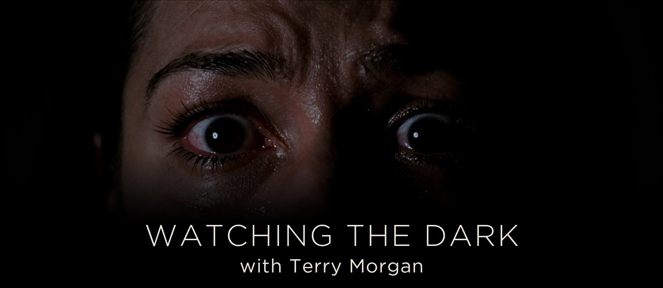 Watching the Dark